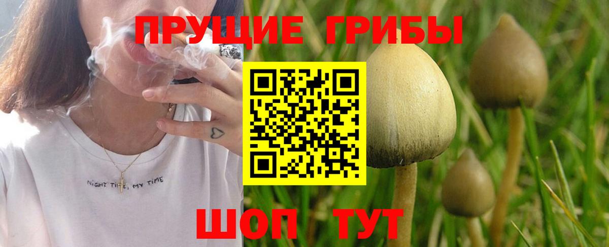 Воронеж  Галлюциногенные грибы MAGIC MUSHROOMS  Вход с VPN 